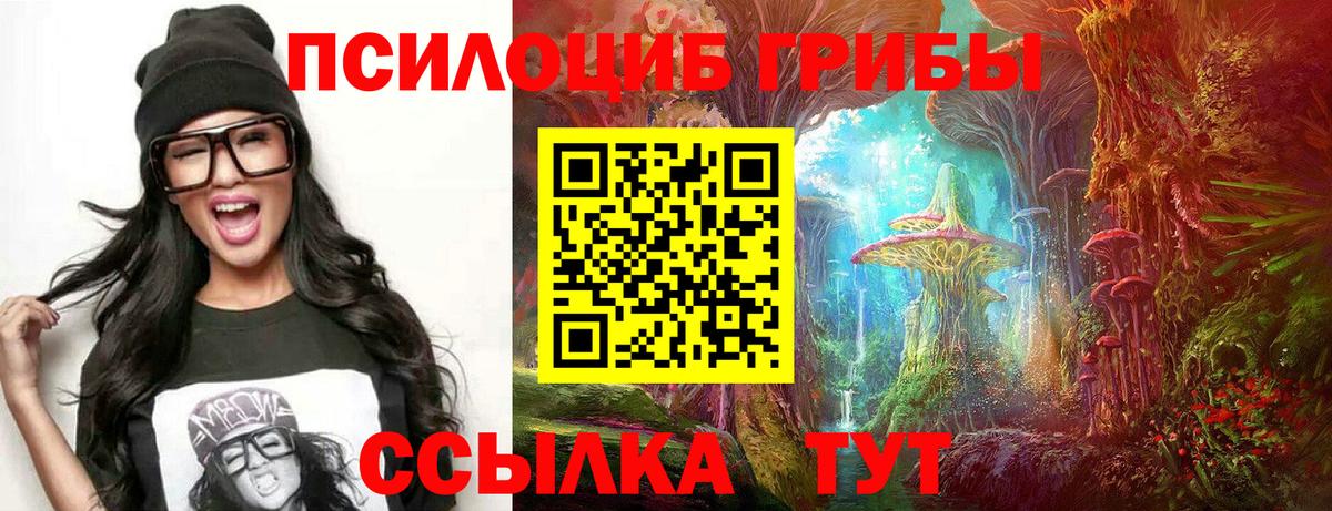 дарнет шоп  Псилоцибиновые грибы Psilocybe  Чехов  Вход с VPN  Галлюциногенные грибы MAGIC MUSHROOMS 