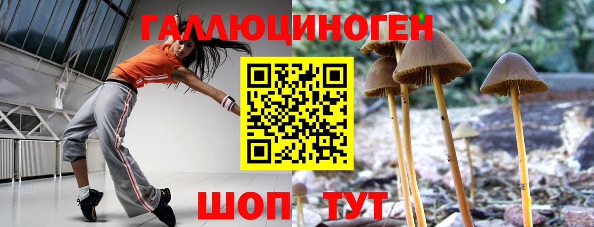 Псилоцибиновые грибы мухоморы Чехов